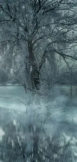 A serene winter tree reflecting on a still, icy pond.