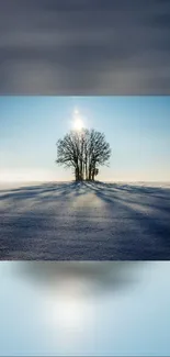 Serene winter landscape with a solitary tree casting shadows on snow.