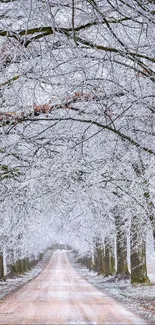 Snow-covered tree tunnel with frosty branches and serene pathway.