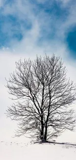 Lone tree on snowy field with blue sky background.