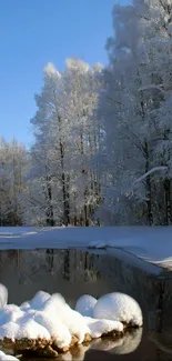 Snow-covered trees and a calm lake in a serene winter landscape.