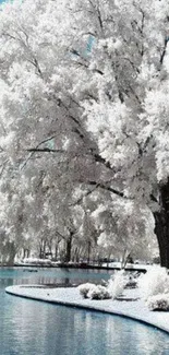 Snow-covered trees by a tranquil lake during winter.