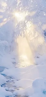 Serene winter scene with snow and sunlight rays through trees.