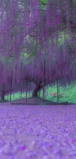 Mobile wallpaper of purple wisteria blossoms in a serene garden setting.