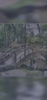 Serene Japanese garden bridge with lush greenery.