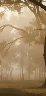 Misty forest with warm brown hue and tall trees in a peaceful morning glow.