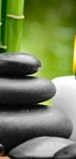 Zen stones and candle with bamboo on green background.