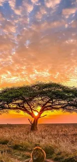 Majestic lion under acacia tree at vibrant Serengeti sunset