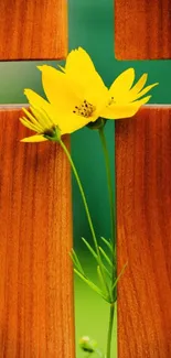 Yellow flower on wooden cross mobile wallpaper.