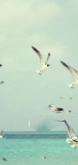 Seagulls soaring over turquoise ocean under a serene sky.