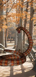 A snake curling on a bridge in an autumn forest.