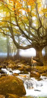 Serene autumn forest with deer by a stream, ideal for nature wallpaper.