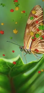 Butterfly perched on a vibrant green leaf.