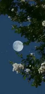 Night sky with full moon and blooming branches on a deep blue background.