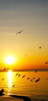 Vibrant sunset with birds over a tranquil ocean.