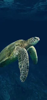 A sea turtle glides through deep blue ocean waters, embodying serenity.