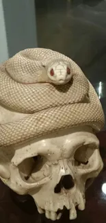 Snake coiled on a skull creates a unique mobile wallpaper design.