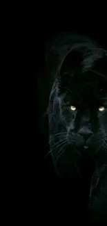 Shadowy black panther with glowing eyes emerging from darkness.