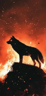 Shadowy Wolf On Fire Live Wallpaper