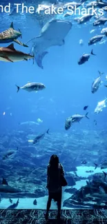 Aquarium scene with sharks swimming underwater, viewed by a silhouette.