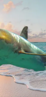 A majestic shark leaps on a tropical beach at sunset.