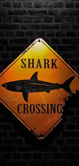 Shark crossing sign on black textured background.