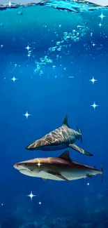 Two sharks swimming in a sparkling blue ocean.