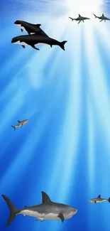 Sharks swimming in bright blue ocean depths, illuminated by sunrays.