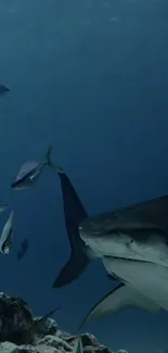 A majestic shark swimming in a deep blue underwater scene.