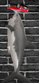 Shark grasping red car in front of a brick wall.