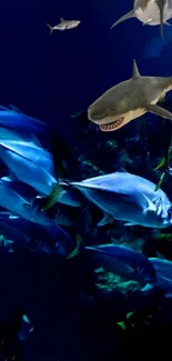 Sharks swimming with fish in deep blue ocean.