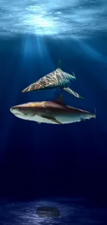 Two sharks swimming gracefully in the deep blue ocean, captured in a mesmerizing wallpaper.