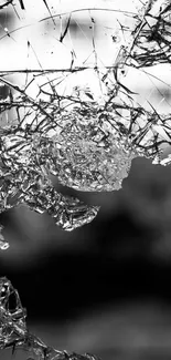 Intricate design of shattered glass in grayscale, perfect for phone wallpaper.