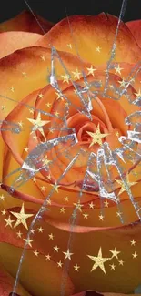 Orange rose with shattered glass and stars wallpaper.