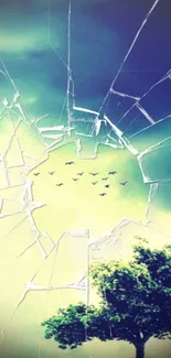 Abstract shattered glass wallpaper with tree and sky.