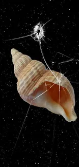 Seashell on cracked screen with starry background.