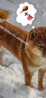 Cute Shiba Inu standing in snowy landscape with thought bubble.