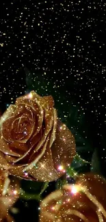 Shimmering gold rose with sparkles on dark background wallpaper.