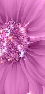 Sparkling pink flower wallpaper with vivid petals.