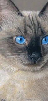 Siamese cat artwork wallpaper with bright blue eyes.