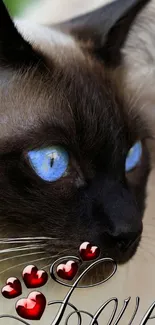 Close-up of Siamese cat with blue eyes and love-themed red hearts.