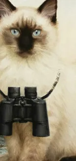 Siamese cat with binoculars around its neck, creating a quirky look.