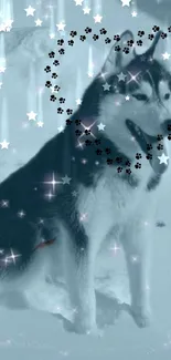 Siberian Husky surrounded by stars in a snowy scene.