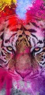 Siberian Tiger Bengal Tiger Felidae Live Wallpaper