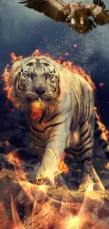 Siberian Tiger Bengal Tiger Vertebrate Live Wallpaper