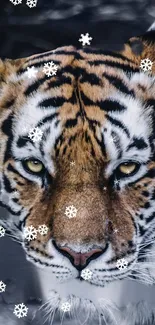 Siberian Tiger Tiger Nature Live Wallpaper