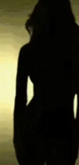 Silhouette of a person in warm light.