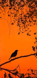 Bird silhouette on branch with orange sunset in background.