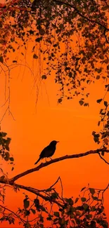 Silhouette of bird on branch with orange sunset background.