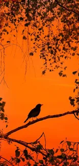 Bird silhouette on a branch against an orange sunset sky with foliage.